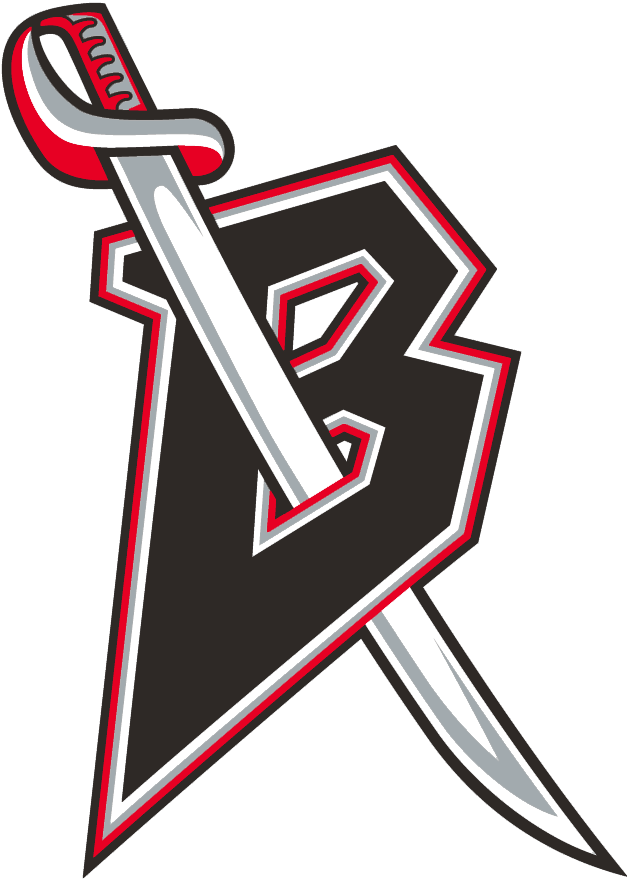 Buffalo Sabres 1996-1999 Alternate Logo t shirts DIY iron ons v2